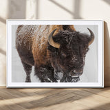 65605-MGV-CV-36X24-Snow Bison Wall Art – Close Up Buffalo Canvas Print, Rustic Western Wildlife Photography, Farmhouse Cabin Lodge Decor for Living