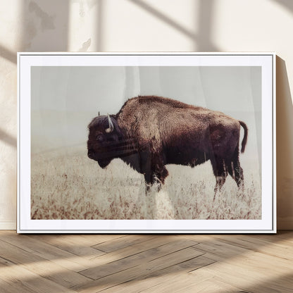 48406-MGC-FP-36x24_White-American Bison Wall Art – Rustic Buffalo Canvas Print in Prairie Field, Western Wildlife Photography Decor for Cabin, Lodge,