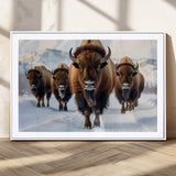 56701-MGC-FP-36x24_White-Bison Herd Wall Art – Buffalo Walking in Snowy Mountains Canvas Print, Rustic Wildlife Decor for Cabin, Lodge, or Living Room