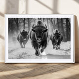 97552-MGV-CV-36X24-Black and White Bison Wall Art – Buffalo Herd Running in Snow Canvas Print, Rustic Wildlife Photography Decor for Cabin, Lodge, or