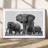 91685-MGC-FP-36x24_White-Elephant Herd Wall Art – Black and White Safari Canvas Print, African Wildlife Photography Decor for Living Room, Office or