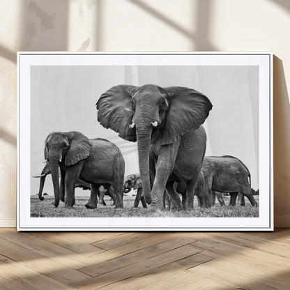 91685-MGC-FP-36x24_White-Elephant Herd Wall Art – Black and White Safari Canvas Print, African Wildlife Photography Decor for Living Room, Office or