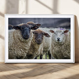 18418-MGC-FP-36x24_White-Sheep Wall Art Canvas Print, Framed Farmhouse Sheep Art Picture Print, Sheep Herd Perfect Rustic Farmhouse Decor Artwork