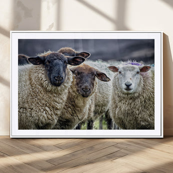 18418-MGC-FP-36x24_White-Sheep Wall Art Canvas Print, Framed Farmhouse Sheep Art Picture Print, Sheep Herd Perfect Rustic Farmhouse Decor Artwork