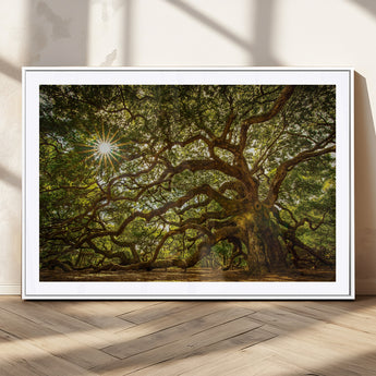 57983-MGC-FP-36x24_White-Angel Oak Tree Wall Art Canvas Print, Framed Oak Tree Art Picture Print, Angel Oak Perfect Rustic Nature Decor Artwork