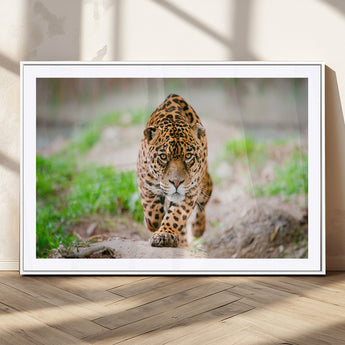 75066-MGV-CV-36X24-Leopard Wall Art Canvas Print, Framed Wild Animal Art Picture Print, Blue Eye Leopard Perfect Wild Minimal Decor Artwork