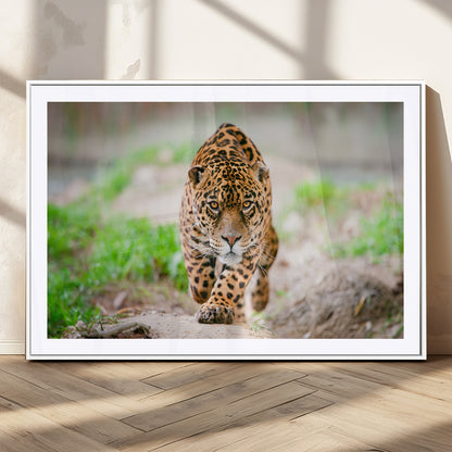 75066-MGV-CV-36X24-Leopard Wall Art Canvas Print, Framed Wild Animal Art Picture Print, Blue Eye Leopard Perfect Wild Minimal Decor Artwork