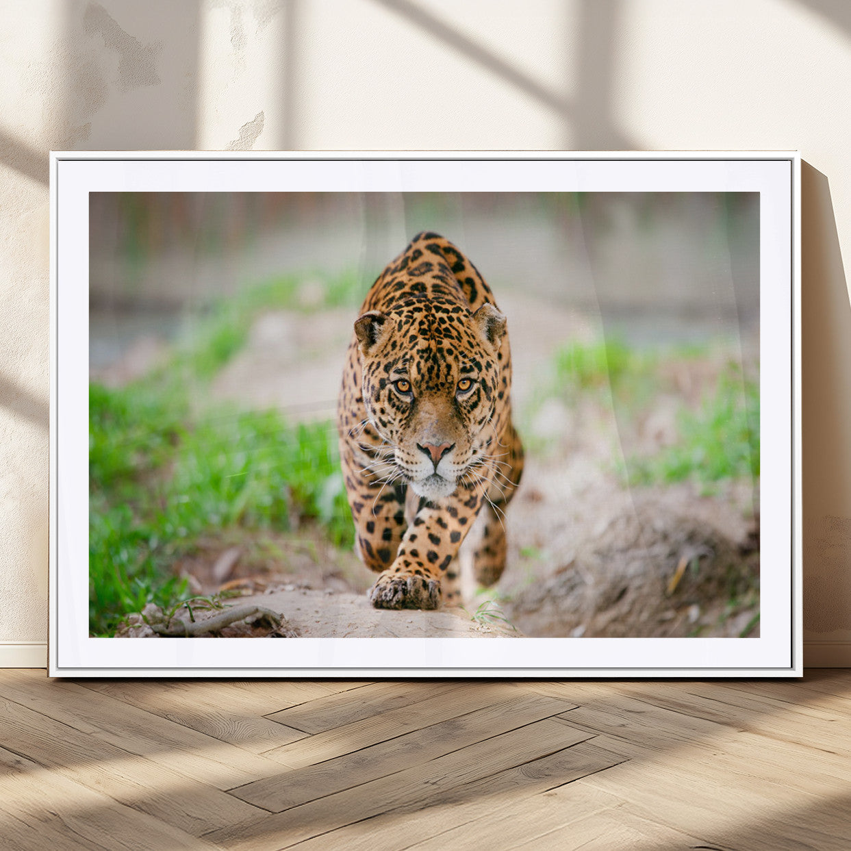 75066-MGC-FP-36x24_White-Leopard Wall Art Canvas Print, Framed Wild Animal Art Picture Print, Blue Eye Leopard Perfect Wild Minimal Decor Artwork