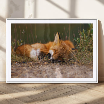 25085-MGC-FP-36x24_White-Sleeping Fox Wall Art Canvas Print, Framed Rustic Fox Art Picture Print, Wildlife Animal Perfect Rustic Farmhouse Decor Artwork