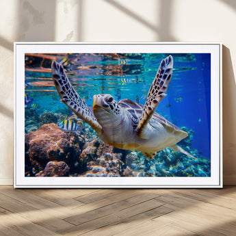 12683-MGC-FP-36x24_White-Sea Turtle Wall Art – Graceful Ocean Canvas Print with Coral Reef and Tropical Fish, Coastal Marine Life Decor for Beach House,