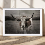 69238-MGC-FP-36x24_White-Longhorn Bull Wall Art – Rustic Black and White Texas Cattle Canvas Print, Western Farmhouse Animal Photography for Living Room,