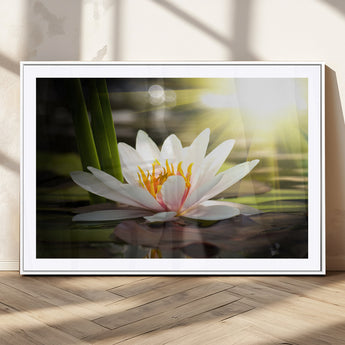 60352-MGC-FP-36x24_White-White Water Lily Wall Art – Lotus Flower Canvas Print with Sunlight Reflection, Peaceful Botanical Artwork for Living Room,