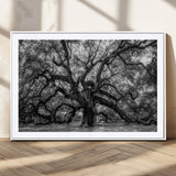 132944706-MGV-CV-36X24-Ancient Tree Wall Art – Black and White Photography Canvas Print Featuring Majestic Twisting Branches, Rustic Nature Artwork for