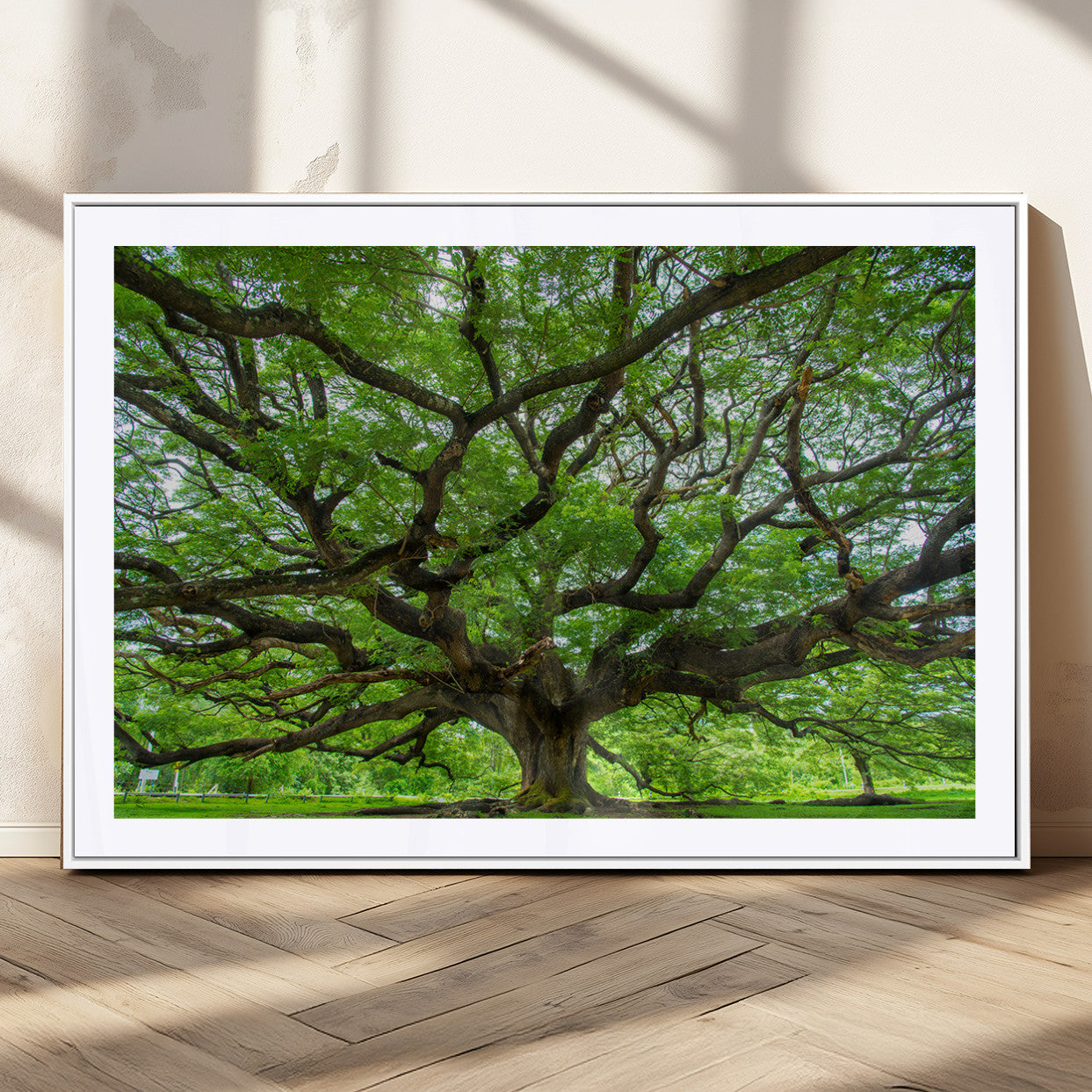 49375306-MGC-FP-36x24_White-Ancient Tree Wall Art Canvas Print, Framed Sprawling Branches Art Picture Print, Gnarling Tree Perfect Earthy Natural Decor