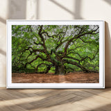 51255351-MGV-CV-36X24-Ancient Tree Wall Art – Majestic Oak Canvas Print, Large Nature Photography, Sacred Forest Landscape Wall Décor, Wisdom Tree