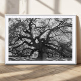 81655611-MGV-CV-36X24-Ancient Oak Wall Art Canvas Print, Framed Twisted Branches Art Picture Print, Gnarled Tree Perfect Moody Nature Decor Artwork