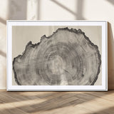 98921313-MGC-FP-36x24_White-Tree Ring Wall Art Canvas Print, Framed Wood Slice Art Picture Print, Minimalist Wood Perfect Rustic Academic Decor Artwork