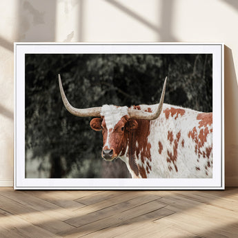54027638-MGV-CV-36X24-Texas Longhorn Wall Art Canvas Print, Framed Spotted Cow Art Picture Print, Horned Bull Perfect Rustic Western Decor Artwork