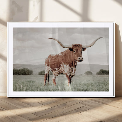 28309012-MGC-FP-36x24_White-Texas Longhorn Wall Art Canvas Print, Framed Spotted Cattle Art Picture Print, Horned Bull Perfect Rustic Western Decor Artwork