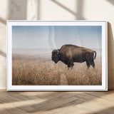 91267849-MGC-FP-36x24_White-Wild Bison Wall Art Canvas Print, Framed Bison in Prairie Art Picture Print, Rustic Western Perfect Rustic Western Decor Artwork
