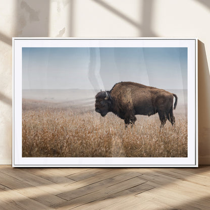 91267849-MGC-FP-36x24_White-Wild Bison Wall Art Canvas Print, Framed Bison in Prairie Art Picture Print, Rustic Western Perfect Rustic Western Decor Artwork