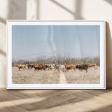 16563092-MGC-FP-36x24_White-Texas Longhorns Wall Art Canvas Print, Framed Western Cattles Art Picture Print, Rustic Herd Perfect Rustic Farmhouse Decor