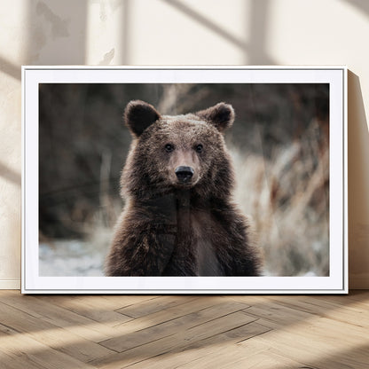 47112103-MGC-FP-36x24_White-Brown Bear Wall Art Canvas Print, Framed Forest Wildlife Art Picture Print, Woodland Bear Perfect Rustic Cabin Decor Artwork