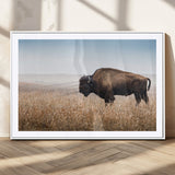 99620201-MGC-FP-36x24_White-Wild Bison Wall Art Canvas Print, Framed Bison in Prairie Art Picture Print, Rustic Western Perfect Rustic Western Decor Artwork