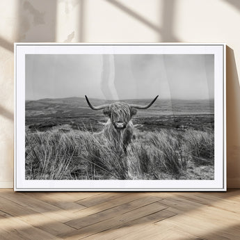 24051061-MGC-FP-36x24_White-Monochrome Highland Cow Wall Art Canvas Print, Framed Scottish Bull Art Picture Print, Lone Cattle Perfect Rustic Farmhouse Decor