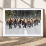 22695857-MGC-FP-36x24_White-Bison Herd Scene Wall Art Canvas Print, Framed Western Wildlife Art Picture Print, Rustic Animal Art Perfect Rustic Lodge Decor