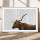 62566114-MGC-FP-36x24_White-Longhorn Cow Art Wall Art Canvas Print, Framed Rustic Animal Decor Art Picture Print, Texas Bull Photo Perfect Rustic Farmhouse