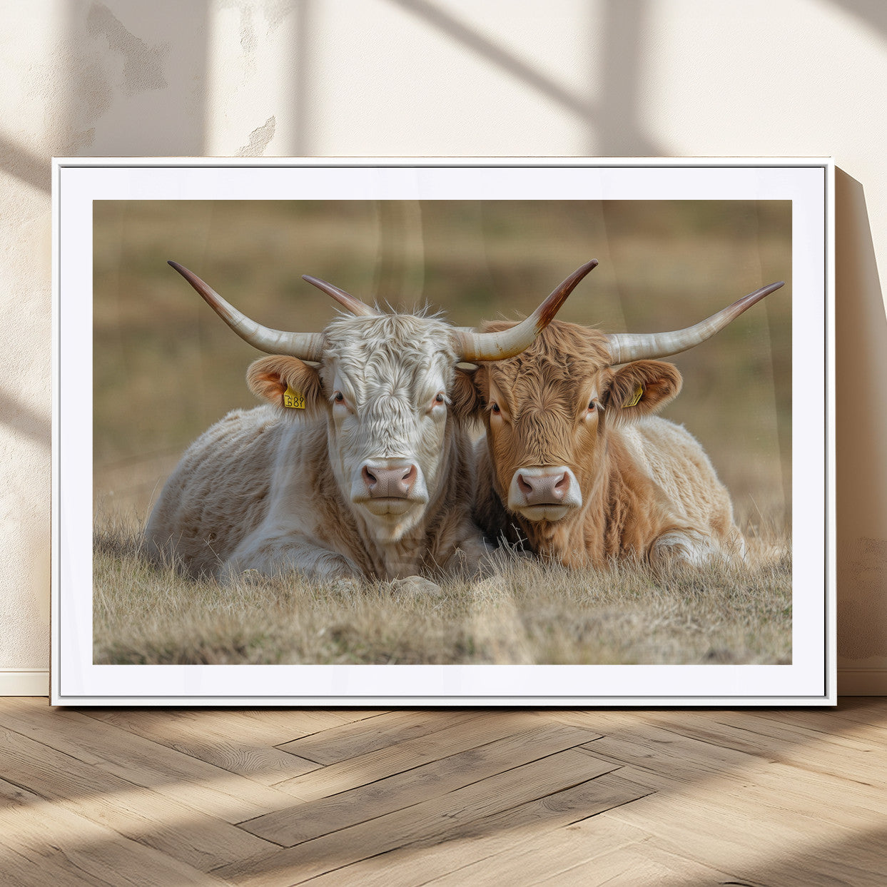 53388593-MGC-FP-36x24_White-Cow Photography Wall Art Canvas Print, Framed Rustic Animal Decor Art Picture Print, Texas Cow Pair Perfect Western Farmhouse