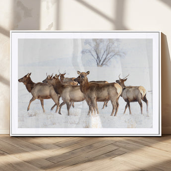 68738684-MGC-FP-36x24_White-Winter Elk Scene Wall Art Canvas Print, Framed Wildlife Photography Art Picture Print, Snowy Deer Decor Perfect Rustic Lodge Decor
