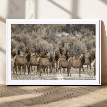 90269422-MGC-FP-36x24_White-Elk Herd Scene Wall Art Canvas Print, Framed Rustic Wildlife Decor Art Picture Print, Western Cabin Style Perfect Rustic Lodge