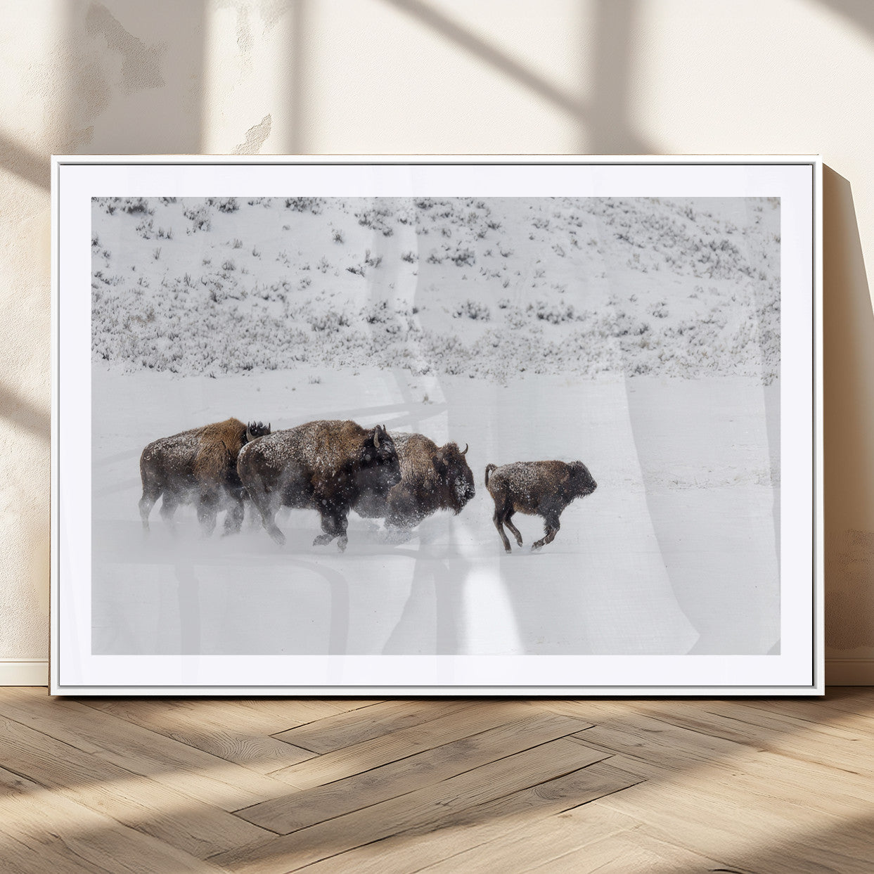 56216945-MGC-FP-36x24_White-Bison Herd Decor Wall Art Canvas Print, Framed Snowy Bison Scene Art Picture Print, Winter Wildlife Theme Perfect Rustic Western