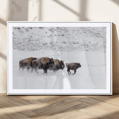 56216945-MGC-FP-36x24_White-Bison Herd Decor Wall Art Canvas Print, Framed Snowy Bison Scene Art Picture Print, Winter Wildlife Theme Perfect Rustic Western