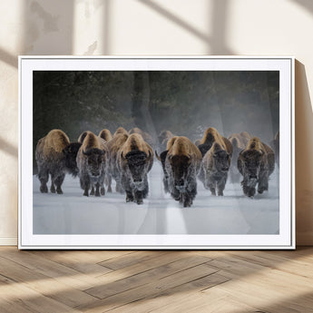 41669135-MGC-FP-36x24_White-Bison Herd Scene Wall Art Canvas Print, Framed Rustic Wildlife Decor Art Picture Print, Snowy Bison Landscape Perfect Rustic