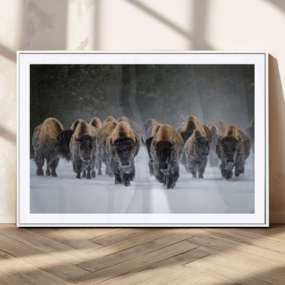 41669135-MGC-FP-36x24_White-Bison Herd Scene Wall Art Canvas Print, Framed Rustic Wildlife Decor Art Picture Print, Snowy Bison Landscape Perfect Rustic
