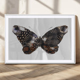 99831147-MGV-CV-36X24-Spotted Butterfly Wall Art Canvas Print, Framed Neutral Insect Theme Art Picture Print, Earthy Wing Pattern Perfect Modern Rustic