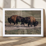 58141885-MGC-FP-36x24_White-Bison Photography Wall Art Canvas Print, Framed Western Wildlife Art Picture Print, Modern Ranch Perfect Western Rustic Decor