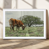 91866234-MGC-FP-36x24_White-Texas Longhorn Wall Art Canvas Print, Framed Rustic Ranch Art Picture Print, Western Cattle Perfect Rustic Farmhouse Decor Artwork