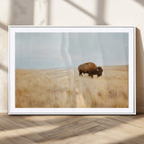 61392510-MGC-FP-36x24_White-Buffalo Wall Art Wall Art Canvas Print, Framed Western Wildlife Decor Art Picture Print, Rustic Farmhouse Art Perfect Rustic