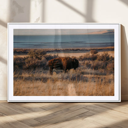 39509187-MGC-FP-36x24_White-Western Wildlife Wall Art Canvas Print, Framed Bison Art Picture Print, Golden Hour Perfect Western Rustic Decor Artwork