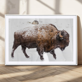 94261165-MGC-FP-36x24_White-Snowy Buffalo Wall Art Canvas Print, Framed Wildlife Photography Art Picture Print, Brown Tones Perfect Rustic Lodge Decor Decor