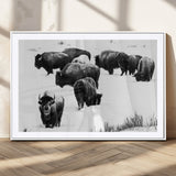 18914414-MGV-CV-36X24-Buffalo Herd Wall Art Canvas Print, Framed Black and White Art Picture Print, Snowy Landscape Perfect Rustic Lodge Decor Decor