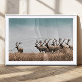 81594705-MGV-CV-36X24-Elk Herd Wall Art Canvas Print, Framed Wildlife Photography Art Picture Print, Rustic Nature Print Perfect Rustic Wildlife Decor