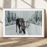 13316292-MGC-FP-36x24_White-Moose in Snow Wall Art Canvas Print, Framed Winter Wildlife Art Picture Print, Snowy Forest Scene Perfect Rustic Lodge Decor
