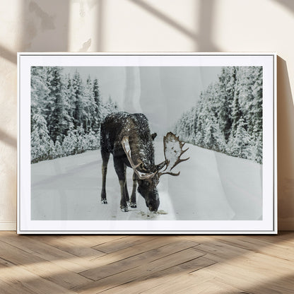 13316292-MGC-FP-36x24_White-Moose in Snow Wall Art Canvas Print, Framed Winter Wildlife Art Picture Print, Snowy Forest Scene Perfect Rustic Lodge Decor