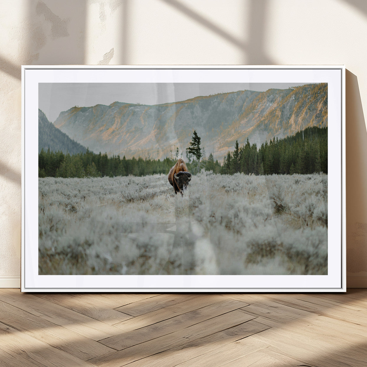 41674074-MGC-FP-36x24_White-Bison Wall Art – American Buffalo Wildlife Photography Canvas Print, Western Mountain Landscape Artwork Rustic Nature Decor for