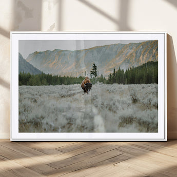 41674074-MGC-FP-36x24_White-Bison Wall Art – American Buffalo Wildlife Photography Canvas Print, Western Mountain Landscape Artwork Rustic Nature Decor for